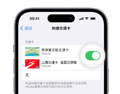 崇礼apple维修点分享iPhone上更换Apple Pay快捷交通卡手绘卡面 