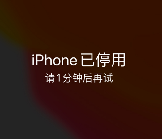 崇礼苹果手机维修分享:iPhone 显示“不可用”或“已停用”怎么办？还能保留数据吗？ 