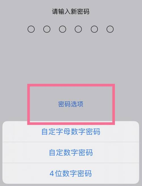 崇礼苹果14维修分享iPhone 14plus设置密码的方法 