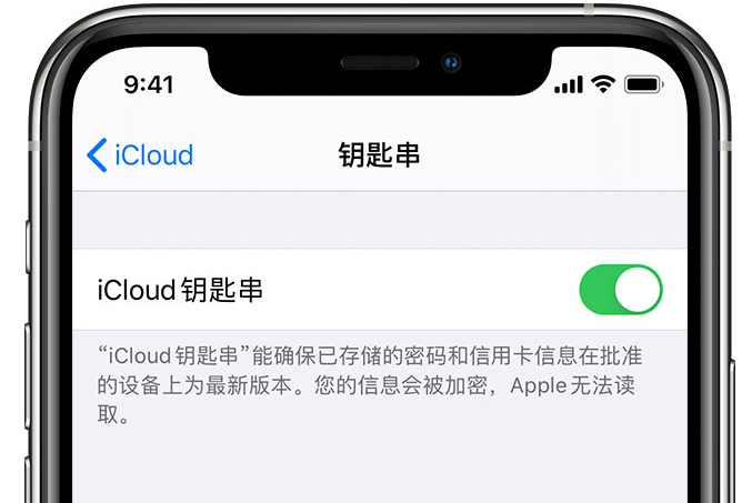 崇礼苹果手机维修分享在 iPhone 上开启 iCloud 钥匙串之后会储存哪些信息 