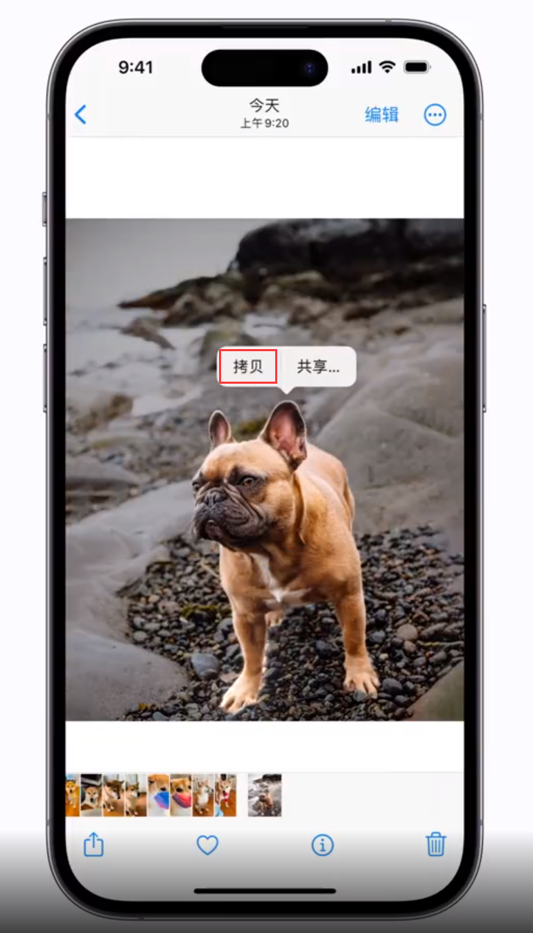 崇礼苹果手机维修分享 iOS 16 自带一键抠图功能 