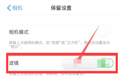 崇礼苹果13维修分享iPhone13拍照有绿点是怎么回事 
