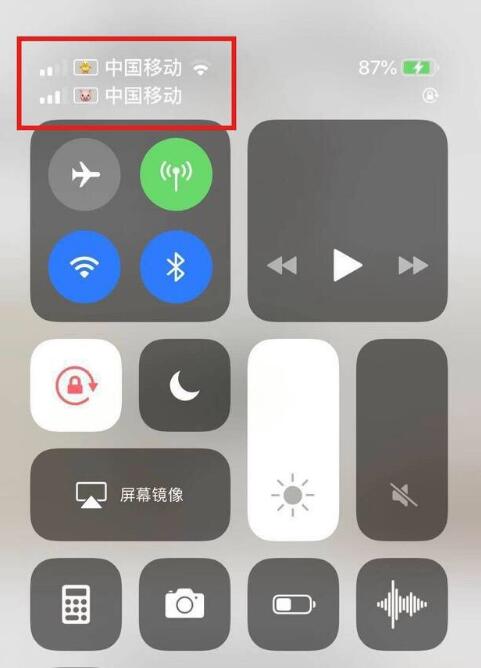 崇礼苹果手机维修分享为 iPhone 12 双卡设置标签 